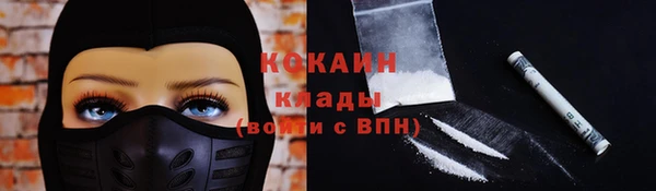 ГАЛЛЮЦИНОГЕННЫЕ ГРИБЫ Арсеньев